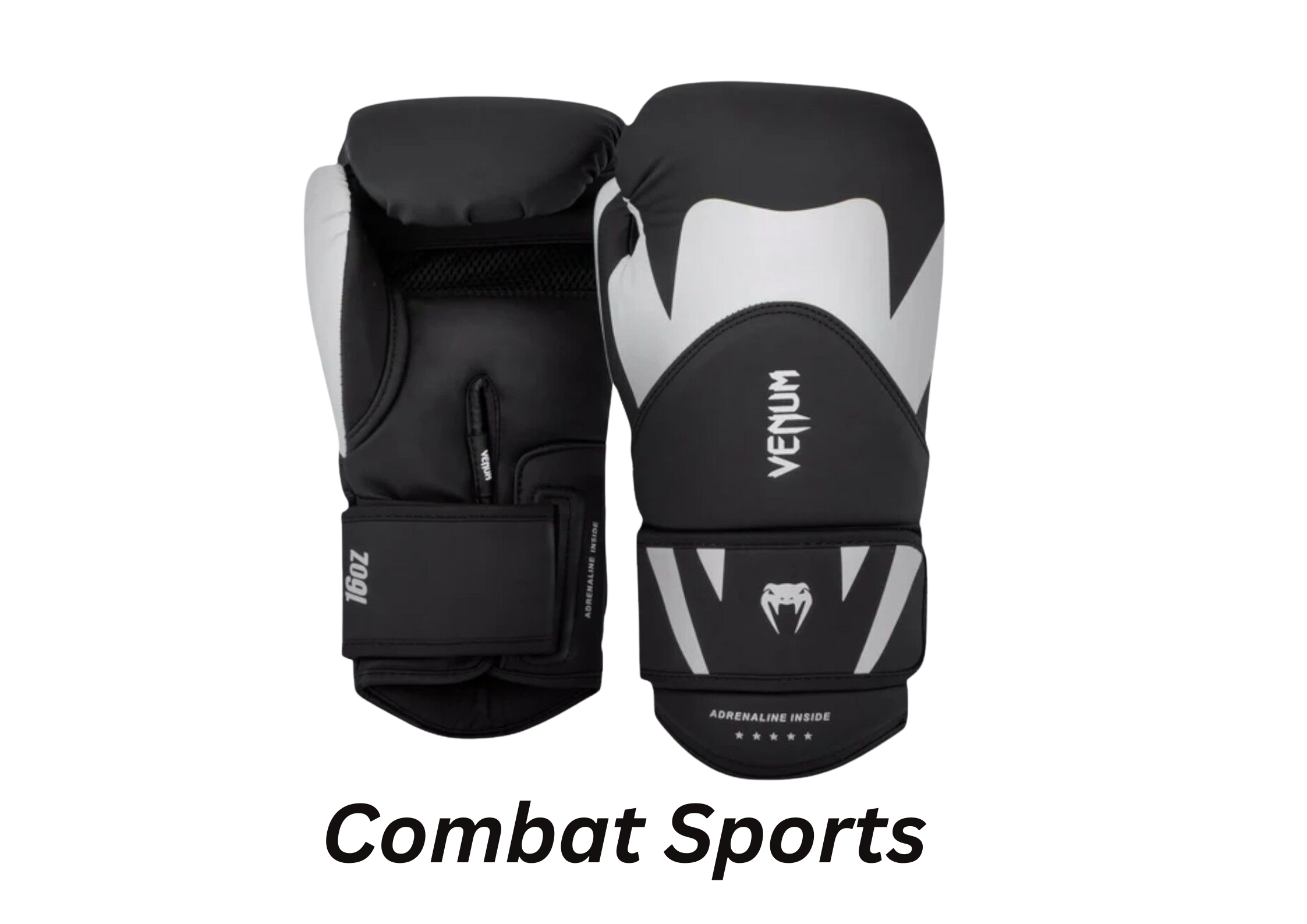 Combat Sports