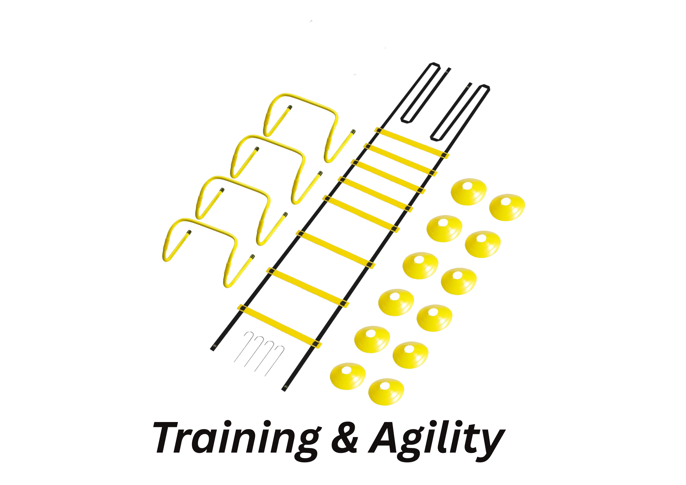Training & Agility