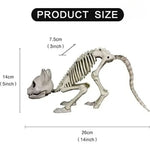 Halloween Animal Skeleton Cat & Dog Models – Realistic Horror Skeleton Ornaments for Haunted House, Garden & Party Decorations