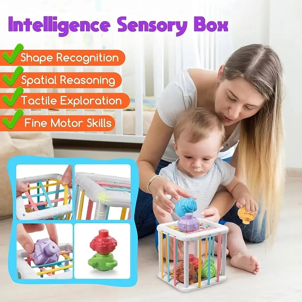 Baby Montessori Shape Sorter Cube, Colourful Blocks Sorting Game