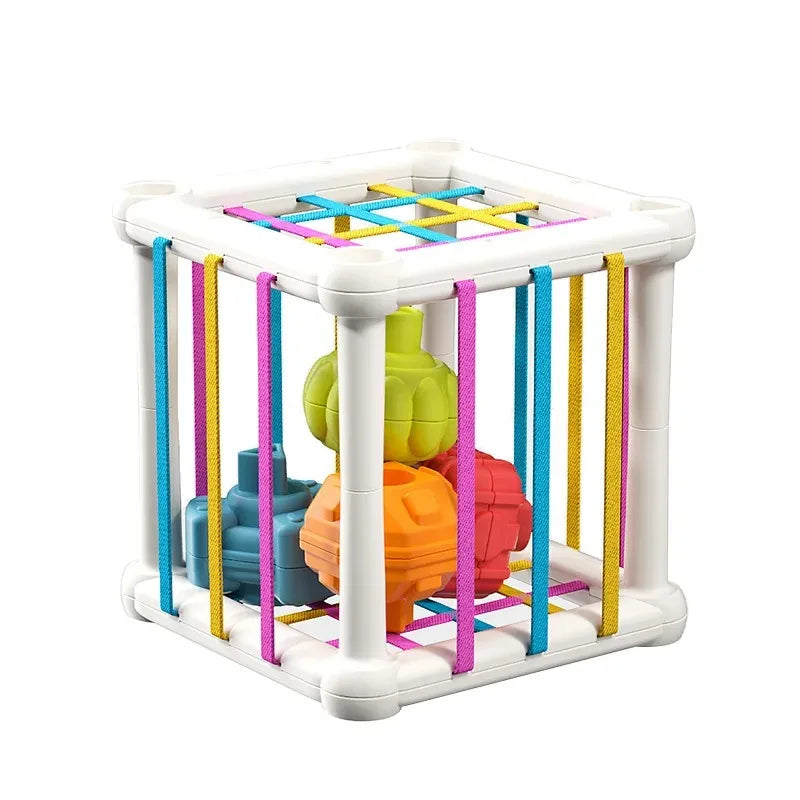 Baby Montessori Shape Sorter Cube, Colourful Blocks Sorting Game