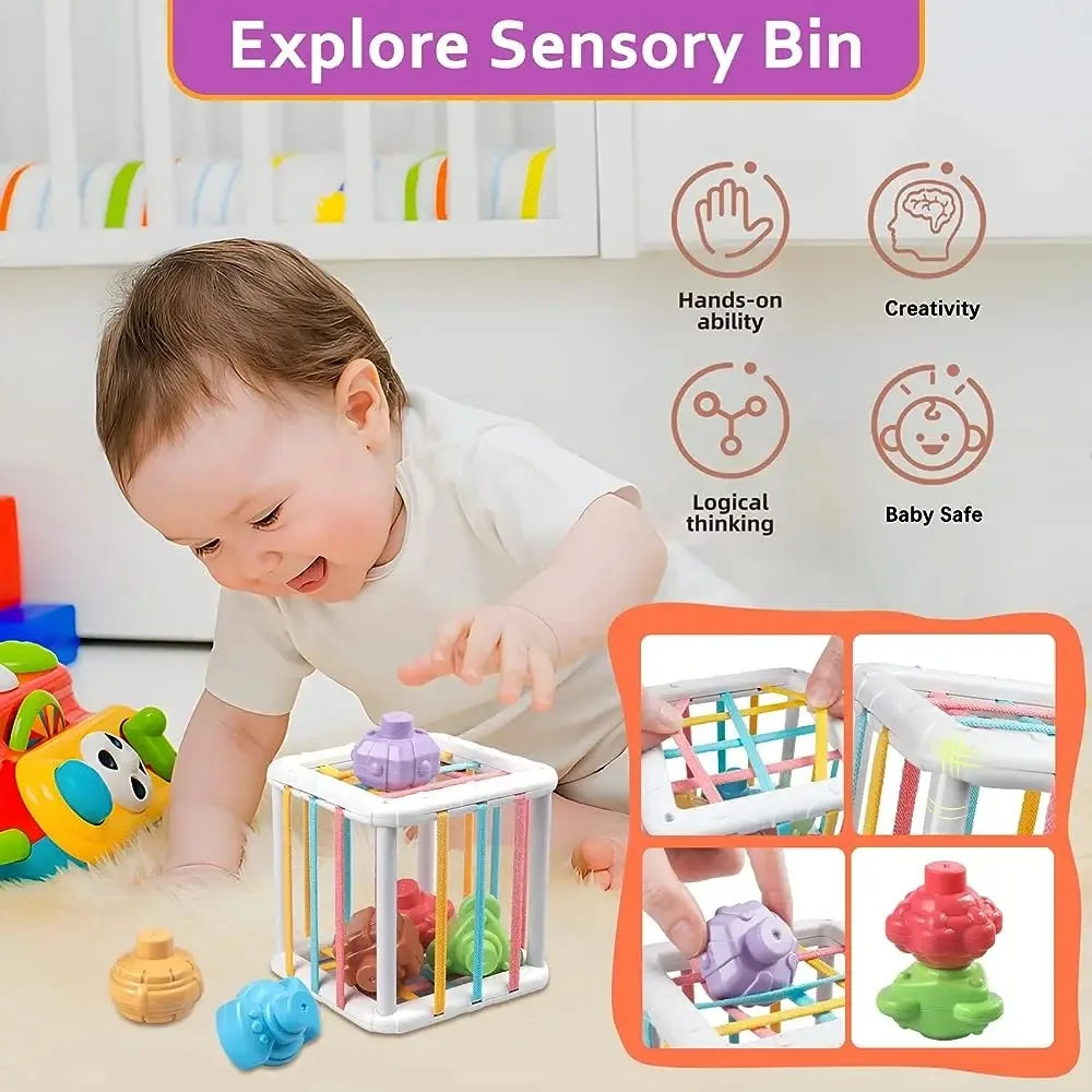 Baby Montessori Shape Sorter Cube, Colourful Blocks Sorting Game