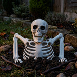 Halloween Skeleton Skull Ornament – Realistic Jointed Bone Prop for Courtyard, Garden & Grass Decorations