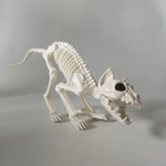 Halloween Animal Skeleton Cat & Dog Models – Realistic Horror Skeleton Ornaments for Haunted House, Garden & Party Decorations