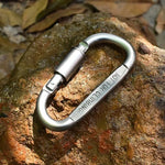 Carabiner Clips Hooks Heavy Duty Spring Snap Swing Screw Lock