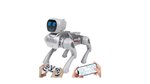BK Toys Co. AI Smart RC Robot Dog Toys Voice Command, Programmable and more